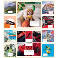 Зошити учнівські 24 аркуша клітинка Люкс ТЕ11323 МІКС 24КЛ1, 20 шт. в упаковці