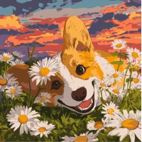 Картина за номерами Коргі в ромашках Ideyka 40×40 см КНО6798