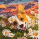 Картина за номерами Коргі в ромашках Ideyka 40×40 см КНО6798