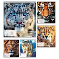 Зошити учнівські 24 аркуша клітинка Тверда ТЕ41308 Котики, 20 шт. в упаковці