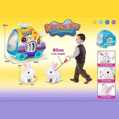 Улюбленець Кролик, 924-3, у боксі