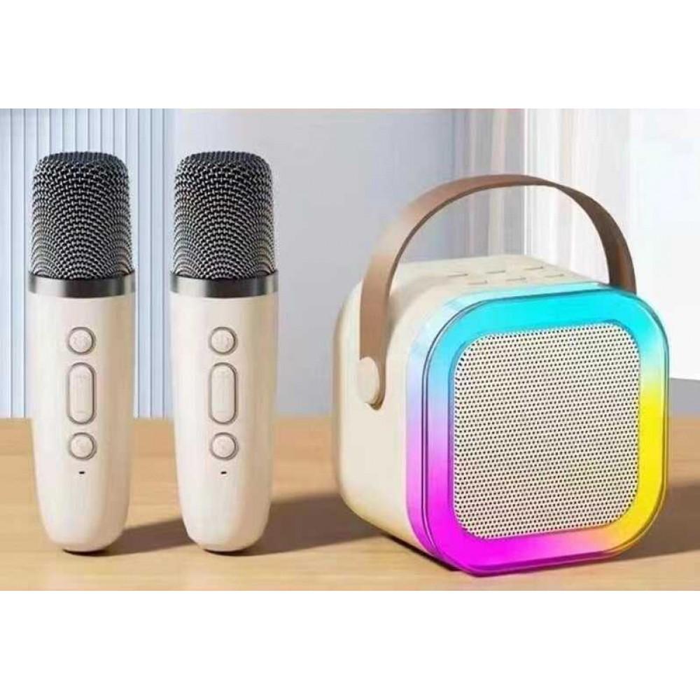 Караоке bluetooth, 2 мікрофони, type-c, TF-картка, зміна голосу, регуляція гучності, в кор. /40/