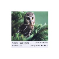 Алмазна мозаїка за номерами Сова 60515, 30x40 см