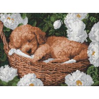 Набір з алмазною мозаїкою на підрамнику Сплячий пудель Ideyka AMO8170, 30x40 см