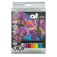 Олівці кольорові, 36 кольорів, zb.2435