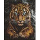 Алмазна мозаїка на підрамнику Дикий тигр Ideyka 40×50 см AMO8348