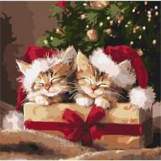 Набір для розпису по номерах "Пухнасті подарунки" Ideyka 40х40см КНО6827