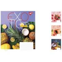 Зошити учнівські 24 аркуша клітинка. YES Exotic, 20 шт. в упаковці