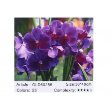 Алмазна мозаїка за номерами 30*40 "орхідеї" 60255