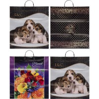 Пакет ламінований з пластиковою ручкою 40×45 см (набір 5 шт) 40/45(112533)