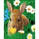 Набір для розпису по номерах Кролик на галявині, Strateg, з лаком, 30x40 см, SS-6419