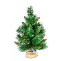 Сосна Царська 60 см 903709