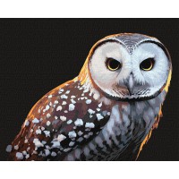 Набір для розпису по номерах Тварини, птахи Гордий погляд, 40x50 см