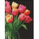 Алмазна мозаїка Аромат тюльпанів 30×40 см AMO8030
