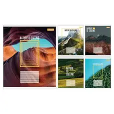 Тетради ученические 36 листов линия 1B Nature is calling, 15 шт. в упаковке