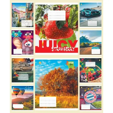 Зошити учнівські 18 аркушів клітинка Тверда ТЕ21216 18КВ4 МІКС, 20 шт. в упаковці