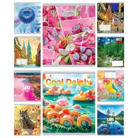 Зошити учнівські 60 аркушів лінія Люкс Мікс 1, 10 шт. в упаковці