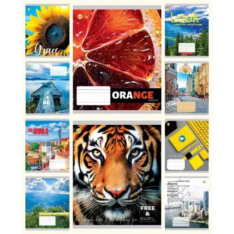 Зошити учнівські 60 аркушів клітинка Тверда ТЕ41604 Мікс 4, 10 шт. в упаковці