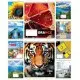 Зошити учнівські 60 аркушів клітинка Тверда ТЕ41604 Мікс 4, 10 шт. в упаковці