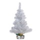 Ялинка Тайгова біла 60 см 903497