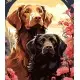 Набір для розпису по номерах Пара песиків, Strateg, 30x40 см, LY09