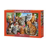 Пазли Castorland Кішки, 2000 елементів, 92x68 см, C-200726