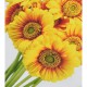 Набір для творчості алмазна картина Сонячні квіти Strateg HEG88145, 30x40 см