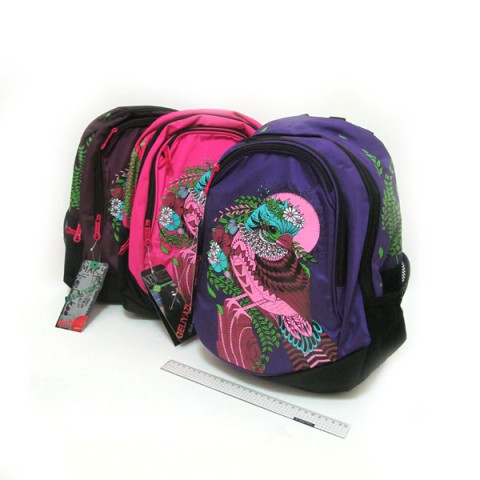 Рюкзак шкільний Птах, 40x32x14 см, 4835IMG (В асортименті)