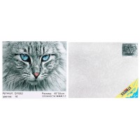 Набір для розпису по номерах Погляд котика, Strateg, 40x50 см, DY082