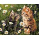 Картина за номерами Котики у квітах 40×50 см КНО6631