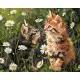 Картина за номерами Котики у квітах 40×50 см КНО6631