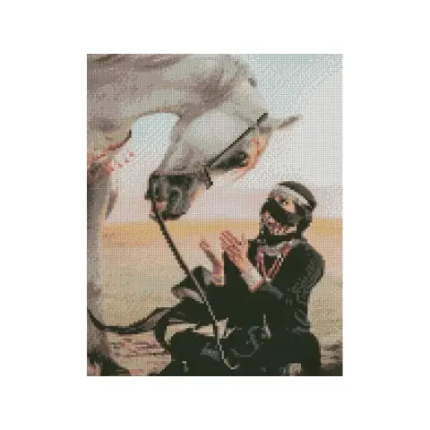 Набір для творчості алмазна картина В пустелі з конем Strateg KB038, 30x40 см