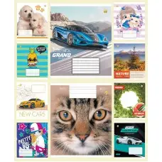 Тетради ученические 12 листов линия твердая ТЕ52116 12ЛВ1-МИКС, 25 шт. в упаковке