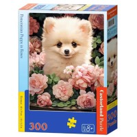 Пазл Кастор Цуценя померанського шпіца в трояндах 300 елементів 40×29 см B-030552