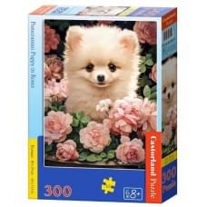 Пазл Castorland "Цуценя померанського шпіца в трояндах" 300 елементів, 40x29см B-030552