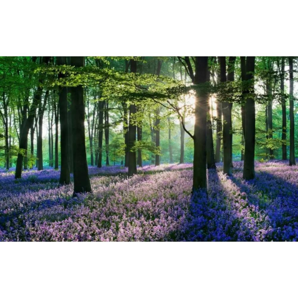 Алмазная мозаика по номерам 30*40 "Лес" карт уп. (холст на раме)