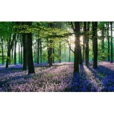 Алмазная мозаика по номерам 30*40 "Лес" карт уп. (холст на раме)