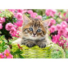 Кастор пазли 100 "кошеня в квітковому саду" 40*29см b-111039