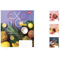 Зошити учнівські 24 аркуша лінія. YES Exotic, 20 шт. в упаковці