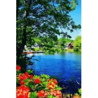 Алмазна мозаїка на підрамнику Вид на озеро 40×50 см 71399_BGLE
