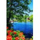 Алмазна мозаїка на підрамнику Вид на озеро 40×50 см 71399_BGLE