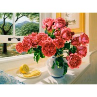 Пазли Castorland Літні спогади, 3000 елементів, 92x68 см, C-300631