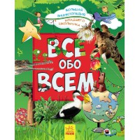 Книга Велика енциклопедія молодшого школяра, Все обо всем, Р900878Р (російською)