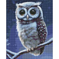 Набір з алмазною мозаїкою Лісова совушка AMO7413, 40x50 см