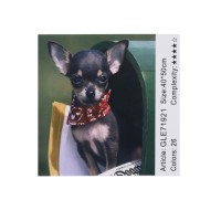 Алмазна мозаїка за номерами Чихуахуа 71921_BGLE, 40x50 см