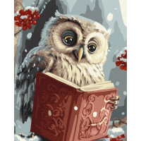 Набір для розпису по номерах Розумна совушка, 40x50 см, КНО6557
