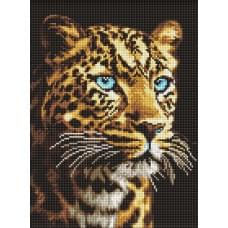 Алмазна мозаїка на підрамнику "Погляд ягуара" Ideyka 30х40см AMO8360