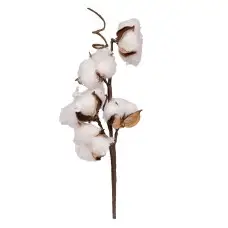 Гілка декоративна Yes! Fun Бавовна, 30 см