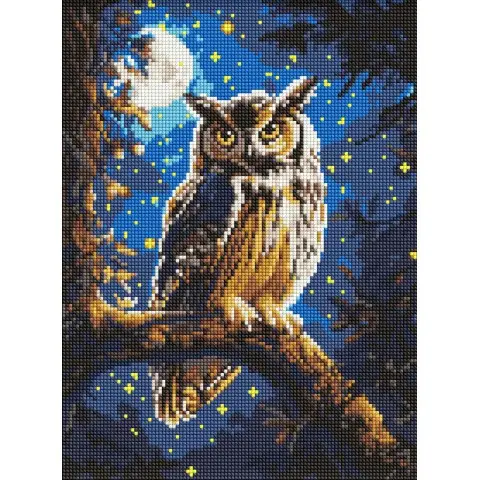 Набір з алмазною мозаїкою на підрамнику Нічна сова Ideyka AMO8160 з АВ стразами, 30x40 см