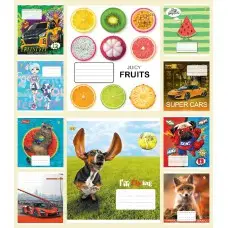 Тетради ученические 12 листов линия твердая ТЕ52117 12ЛВ2-МИКС, 25 шт. в упаковке